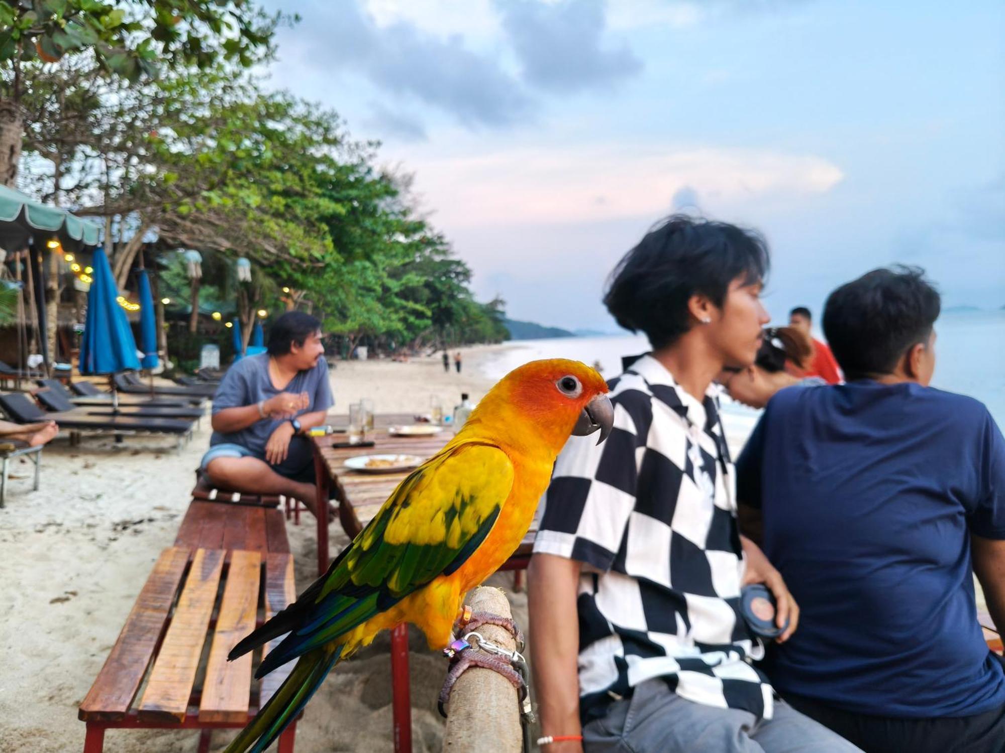 Yuyu Golden Beach Koh Chang Dış mekan fotoğraf